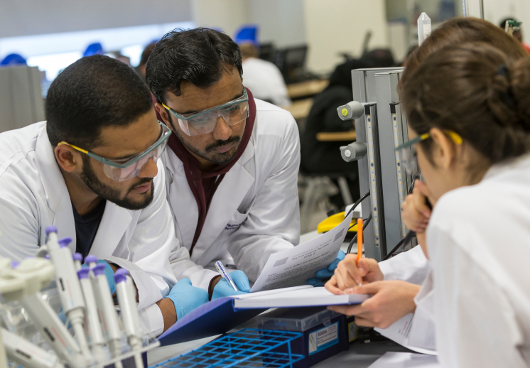 group of students performing science experiment